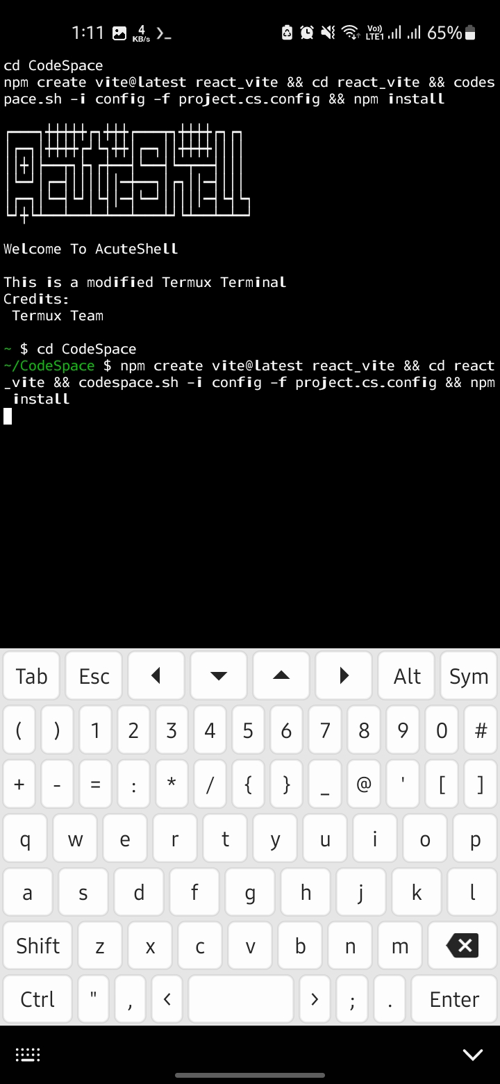 Screenshot CodeSpace - AcuteCoder