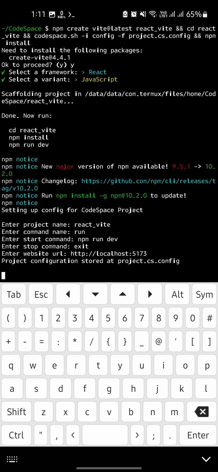 Screenshot CodeSpace - AcuteCoder
