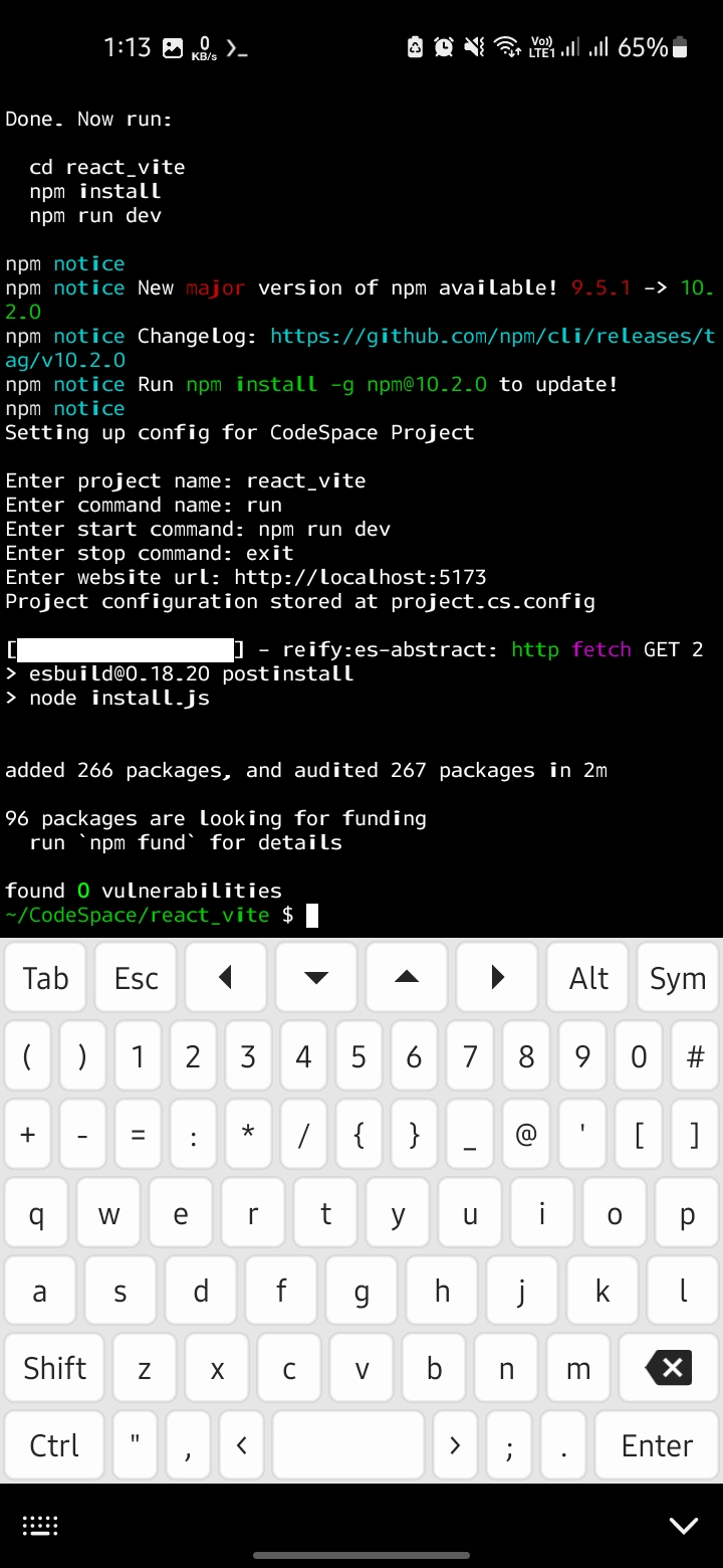 Screenshot CodeSpace - AcuteCoder
